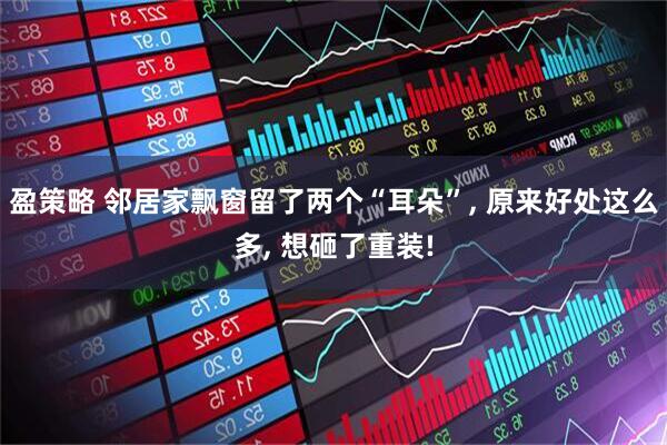 盈策略 邻居家飘窗留了两个“耳朵”, 原来好处这么多, 想砸了重装!