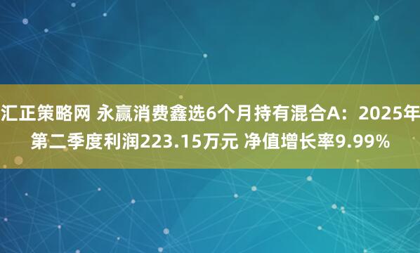 汇正策略网 永赢消费鑫选6个月持有混合A：2025年第二季度利润223.15万元 净值增长率9.99%