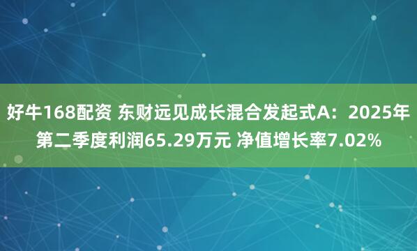 好牛168配资 东财远见成长混合发起式A：2025年第二季度利润65.29万元 净值增长率7.02%