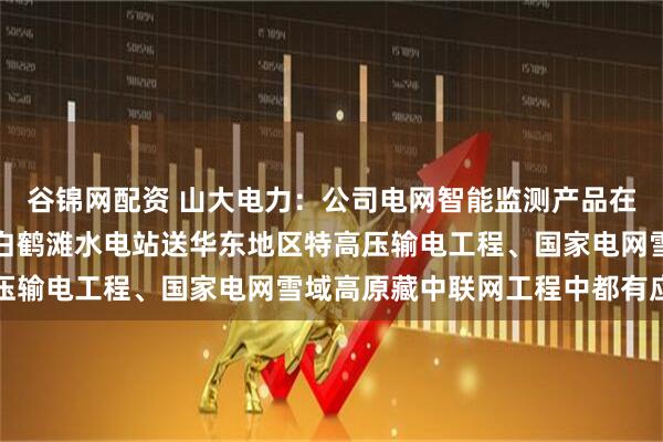 谷锦网配资 山大电力：公司电网智能监测产品在溪洛渡等大型水电站和白鹤滩水电站送华东地区特高压输电工程、国家电网雪域高原藏中联网工程中都有应用