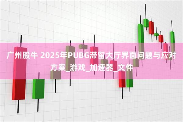 广州股牛 2025年PUBG滞留大厅界面问题与应对方案_游戏_加速器_文件