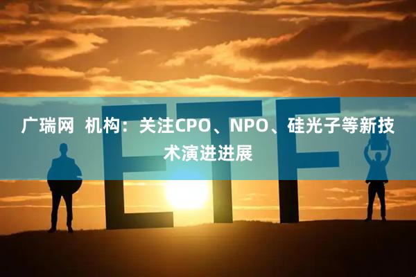 广瑞网  机构：关注CPO、NPO、硅光子等新技术演进进展